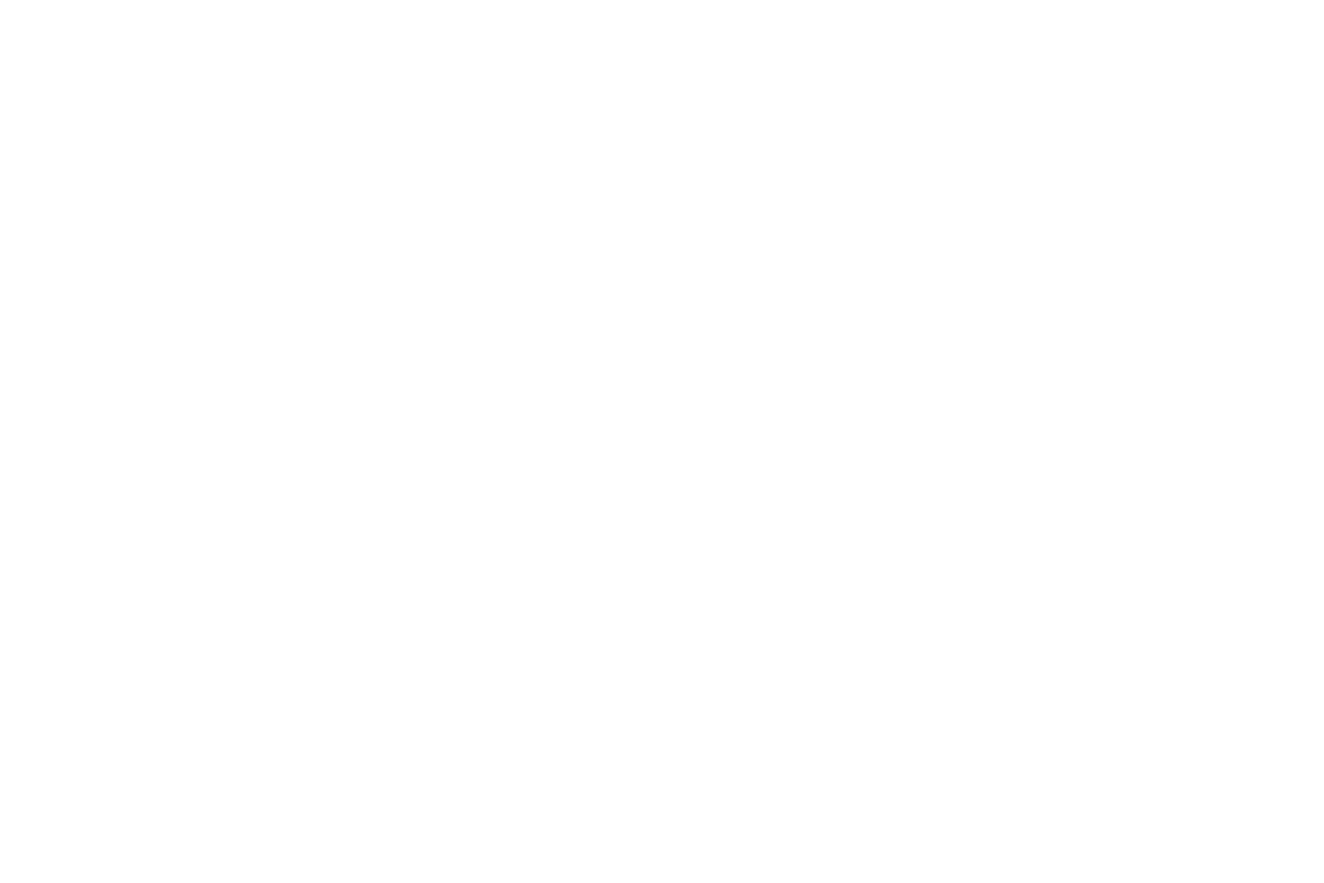 dolphineyes808.com